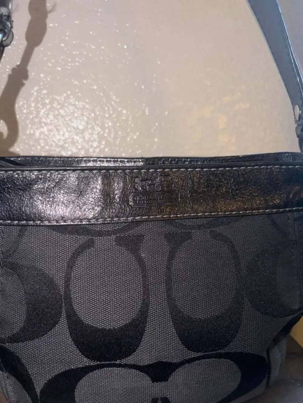 Coach Signature Canvas Zoe Mini Bag